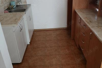 Vand casa vacanta lemn la Otvesti - 10