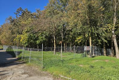 Teren în Ferdinand - 8