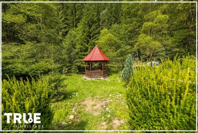Cabană de vânzare, 95m? utili, teren 1276m?, Sălard! - 12
