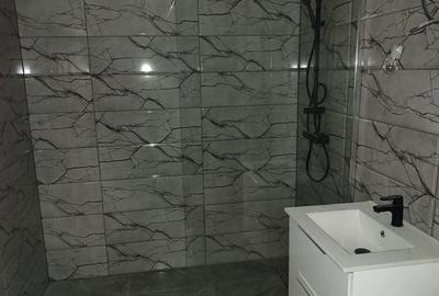Garsonieră decomandată în Valea Lupului - 2