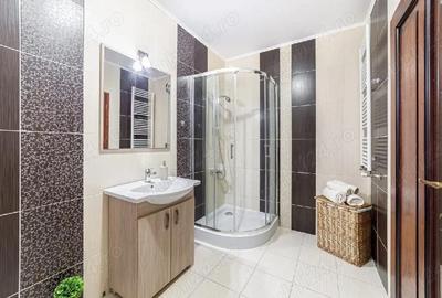 Apartament cu 2 camere decomandat în Cicir - 9