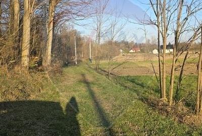 Teren  de vanzare in Fratautii Noi / Strada Dealului - 17