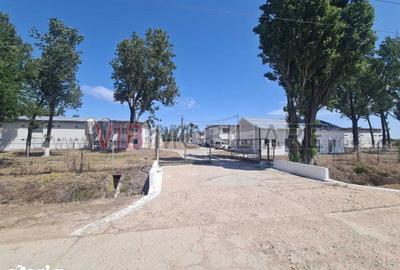 Teren de 35000 mp, în Funcționarilor - 6