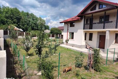 Casă cu 5 camere cu Teren 1500 Mp în Drajna - 19