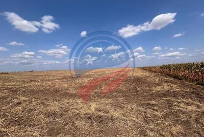 Teren intravilan de vanzare in Pielesti - 5