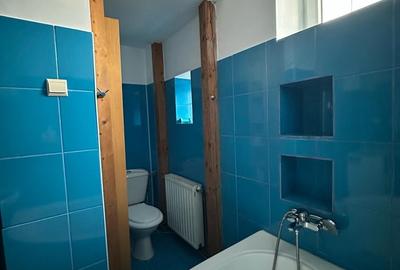 Apartament Icoanei-Eminescu - 18