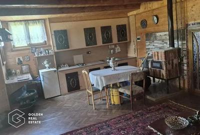 Casa de vacanta in comuna Sistarovat - 3