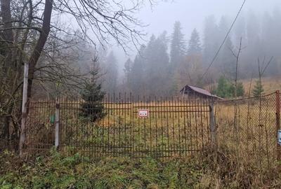 Teren Construcții intravilan de 9106 mp, în Voroneț - 2