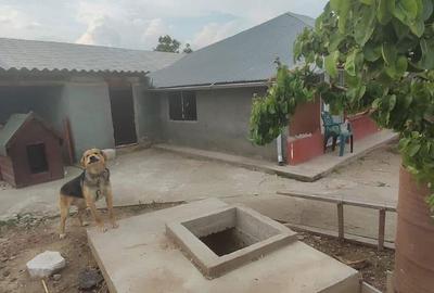 Casă cu 4 camere în Uiești - 17