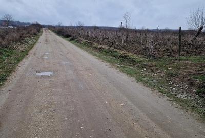 Teren de 4000 mp, în Cârcea - 3