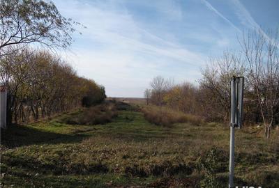 Teren de 4000 mp, în Butimanu - 2