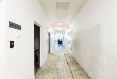 Inchiriere Spațiu Industrial/Productie | Mihai Bravu | Oportunitate! - 28