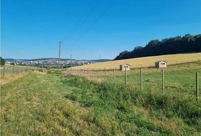 Teren intravilan de 31000 mp, în Sâncraiu de Mureș - 1