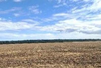 Teren extravilan Branesti, ID: R2649181 - 3