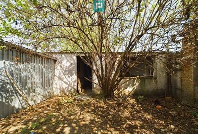 Casa batraneasca in Sustra, Timis - 6