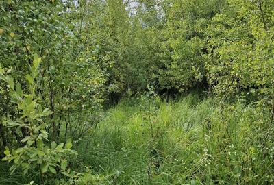 Teren intravilan de 12.147 m² de vânzare în Sovata, pe strada Răchitei - 4