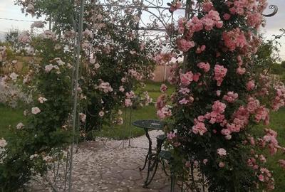 Casă cu Teren 1457 Mp în Rudna - 2