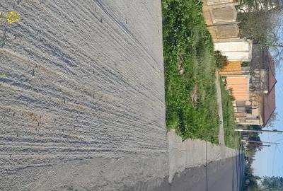 Casă cu 3 camere în Băbiciu - 2