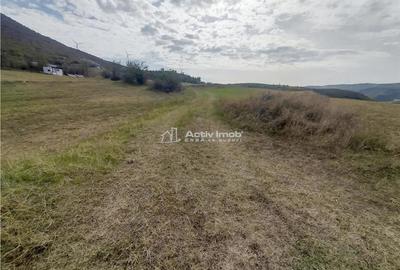 Coronini, Teren Drept, Vedere la Dunare, 1271 mp, 14,95 Euro Mp, Negociabil - 8