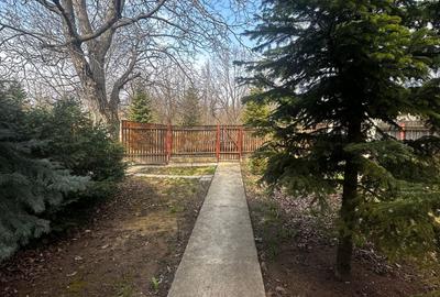 Casă individuală cu 5 camere cu Garaj în Copou - 4