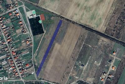 Teren de 5000 mp, în Moșnița Nouă