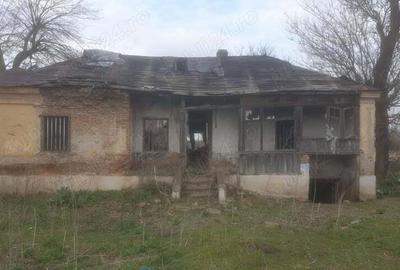 2(doua) teren intravilan in localitatea Giurgi?a, judetul Dolj. - 8