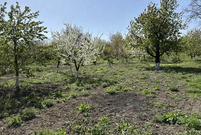 Casa cu 3 camere Zaicesti - 6