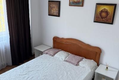 Persoană fizică ,vând apartament cu 2 camere în Păcurari,Alpha Bank - 4