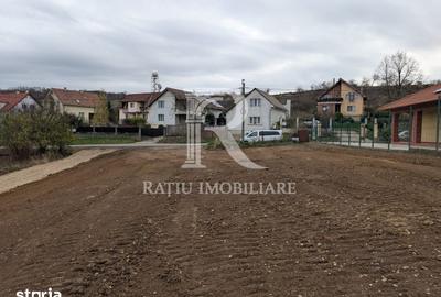 Teren de 857 mp, în Oncea - 3