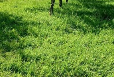 Teren de 400 mp, în Central - 1