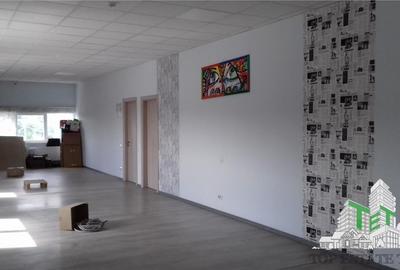 Spatiu industrial de vanzare in zona Splaiul Unirii - 9