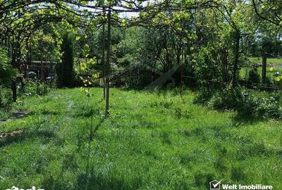 Casă cu 3 camere cu Teren 3320 Mp în Căpușu Mare - 14