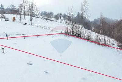 Teren de 500 mp, în Tohanu Vechi