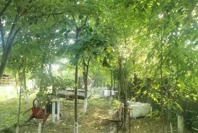 Teren in Contesti, Dambovita - 19