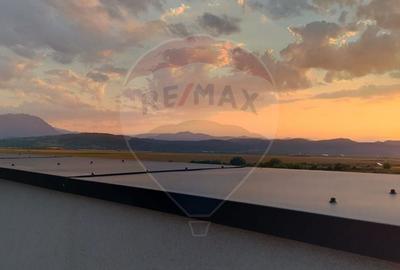 Apartament cu 2 camere decomandat, mobilat în Florilor - 10