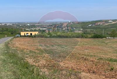 Teren Construcții intravilan de 1628 mp, în Paleu - 6