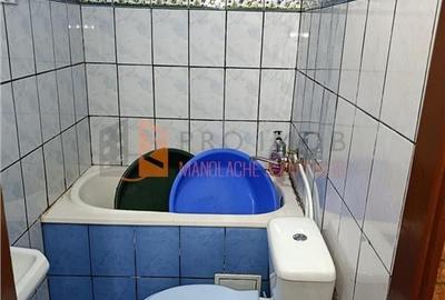 Camera de camin zona Dragaicii - 7