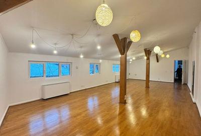 Spațiu comercial, de 255 mp, în Centrul Istoric - 13