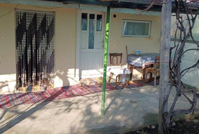 Casă cu 4 camere cu Teren 4400 Mp în Costișa - 8