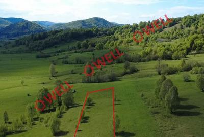 Spațiu comercial, în Vama Buzăului