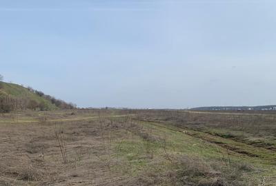 Teren Construcții intravilan de 7500 mp, în Voluntari - 7