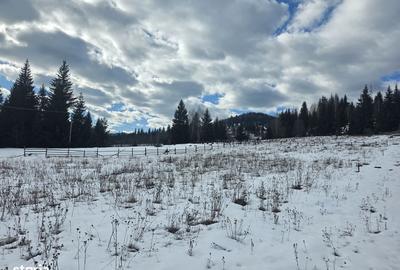 Teren de 15000 mp, în Șaru Dornei - 1