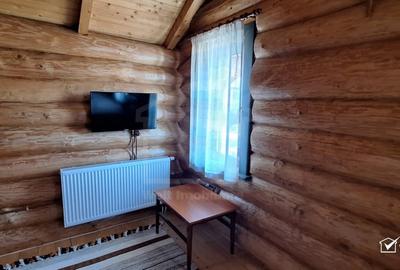 Inchiriere vila de lux, Campenesti dotari de exceptie - 14