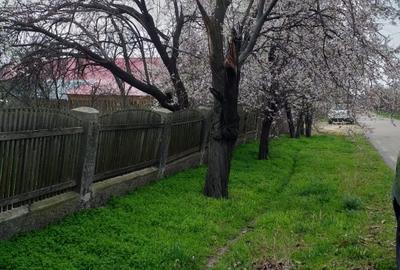 Casă individuală cu 4 camere cu Teren 1800 Mp în Heliade Rădulescu - 2