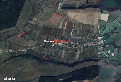 Spațiu comercial, în Husasău de Tinca - 5