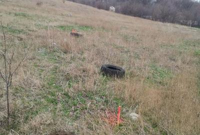 Teren Construcții intravilan de 306 mp, în Palazu Mare - 5