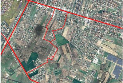 Teren Intravilan Moșnița Noua Teren Intravilan Moșnița Noua - 11