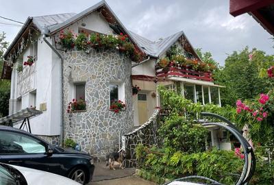 Avem un "Colt de rai" la Vanzare - 2