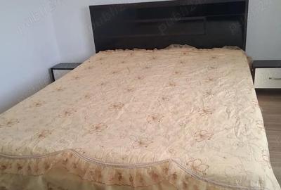 Apartament cu 2 camere decomandat în Giroc - 6