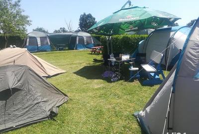 Casă cu 11 camere cu Teren 2200 Mp în Crișan - 6